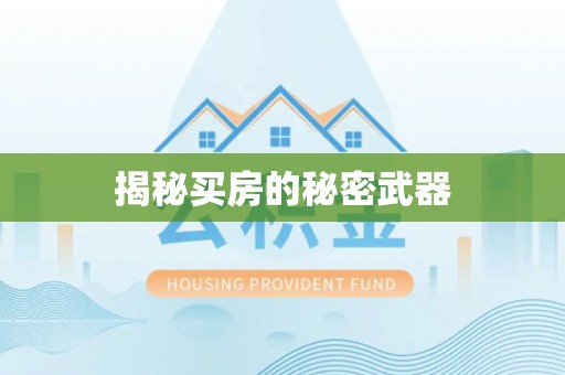新丰揭秘买房的秘密武器