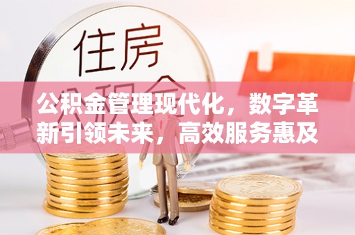 新丰公积金管理现代化，数字革新引领未来，高效服务惠及民生