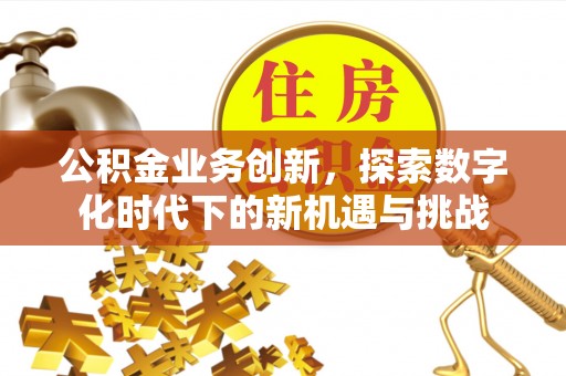 新丰公积金业务创新，探索数字化时代下的新机遇与挑战