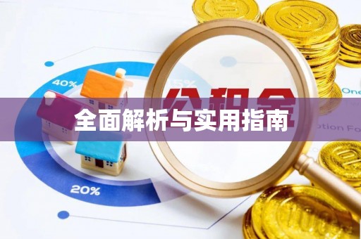 新丰全面解析与实用指南