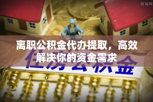 新丰离职公积金代办提取，高效解决你的资金需求