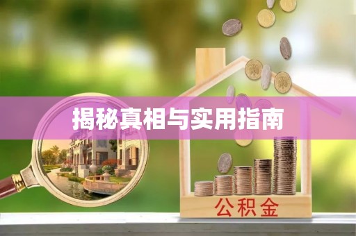 新丰揭秘真相与实用指南