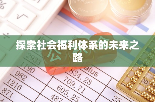 新丰探索社会福利体系的未来之路