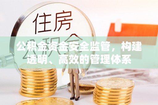 新丰公积金资金安全监管，构建透明、高效的管理体系