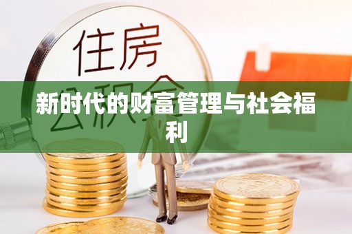 新丰新时代的财富管理与社会福利