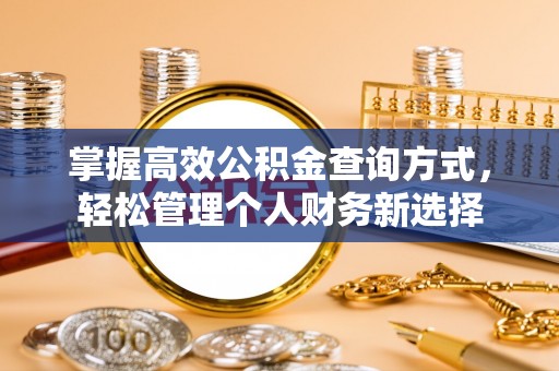 新丰掌握高效公积金查询方式，轻松管理个人财务新选择