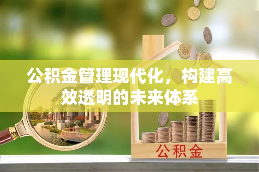 新丰公积金管理现代化，构建高效透明的未来体系