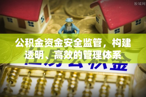 新丰公积金资金安全监管，构建透明、高效的管理体系