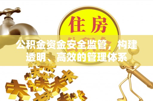 新丰公积金资金安全监管，构建透明、高效的管理体系