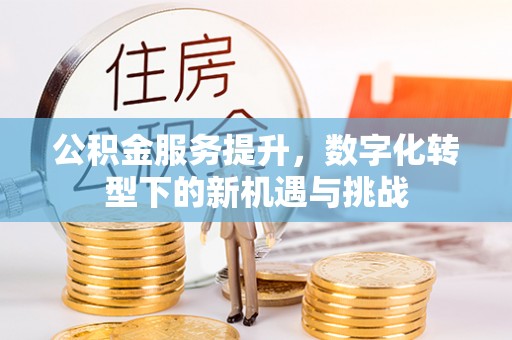 新丰公积金服务提升，数字化转型下的新机遇与挑战