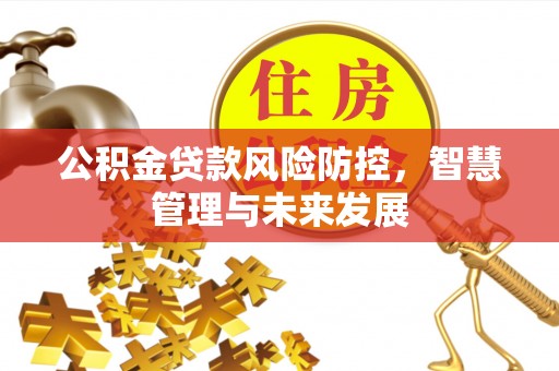 新丰公积金贷款风险防控，智慧管理与未来发展