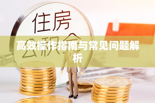 新丰高效操作指南与常见问题解析