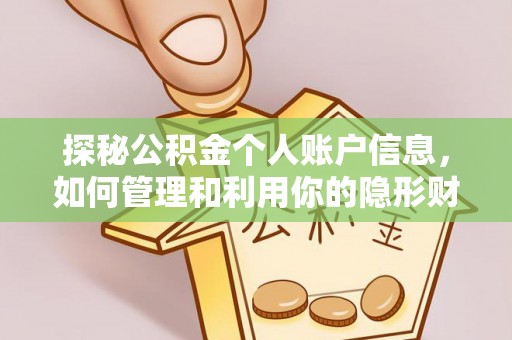 新丰探秘公积金个人账户信息，如何管理和利用你的隐形财富