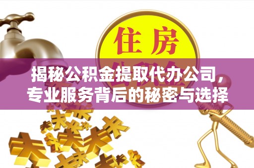 新丰揭秘公积金提取代办公司，专业服务背后的秘密与选择指南