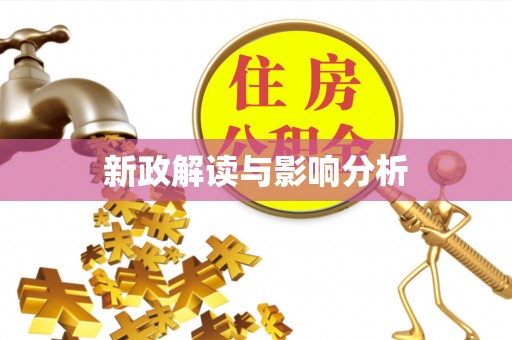 新丰新政解读与影响分析