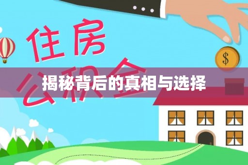新丰揭秘背后的真相与选择