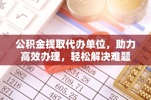 新丰公积金提取代办单位，助力高效办理，轻松解决难题