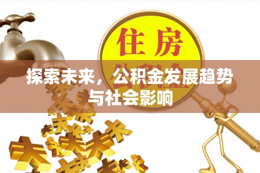 新丰探索未来，公积金发展趋势与社会影响