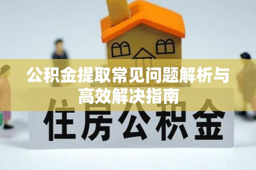 新丰公积金提取常见问题解析与高效解决指南