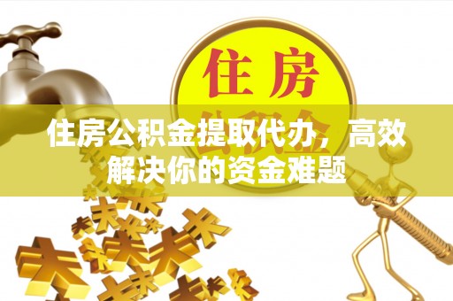 新丰住房公积金提取代办，高效解决你的资金难题