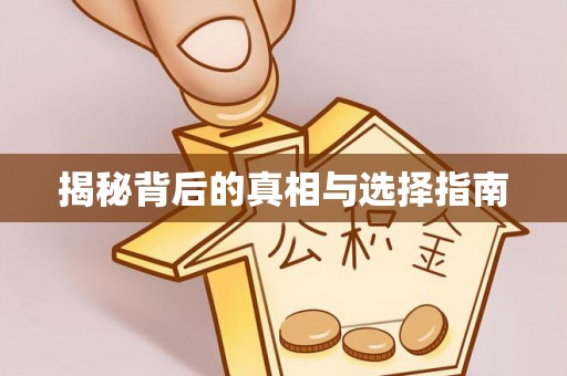 新丰揭秘背后的真相与选择指南