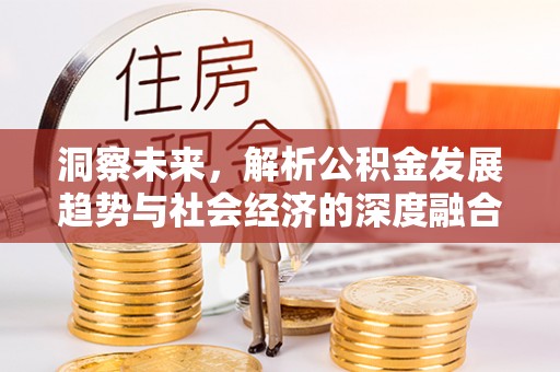 新丰洞察未来，解析公积金发展趋势与社会经济的深度融合