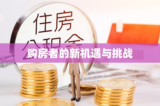 新丰购房者的新机遇与挑战