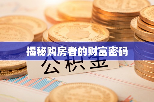 新丰揭秘购房者的财富密码