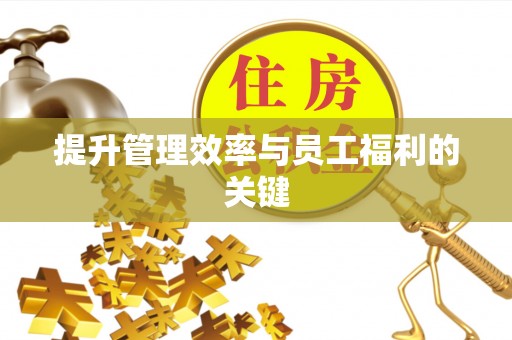 新丰提升管理效率与员工福利的关键