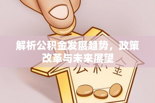 新丰解析公积金发展趋势，政策改革与未来展望