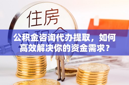 新丰公积金咨询代办提取，如何高效解决你的资金需求？