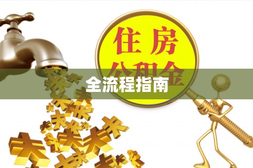 新丰全流程指南