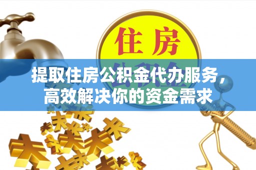 新丰提取住房公积金代办服务，高效解决你的资金需求