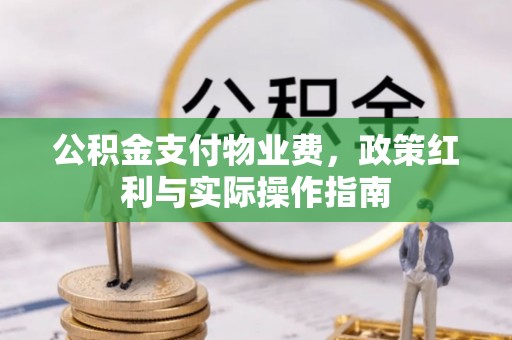 新丰公积金支付物业费，政策红利与实际操作指南