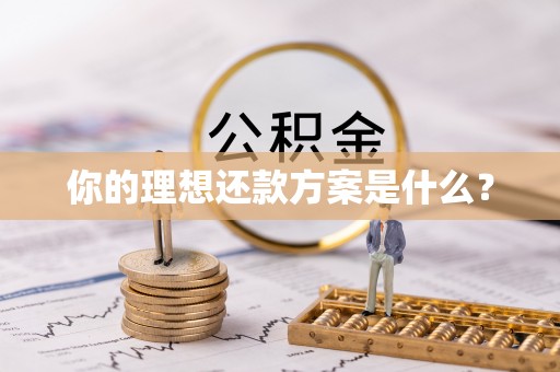 新丰你的理想还款方案是什么？