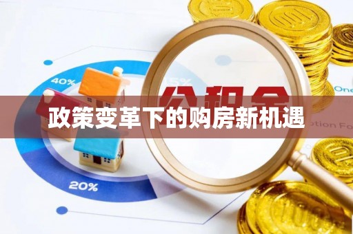 新丰政策变革下的购房新机遇