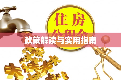 新丰政策解读与实用指南