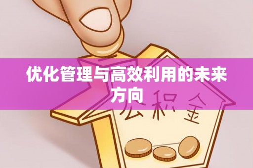新丰优化管理与高效利用的未来方向