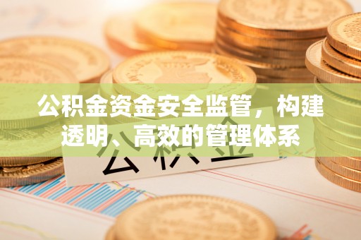 新丰公积金资金安全监管，构建透明、高效的管理体系
