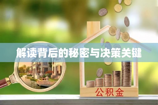 新丰解读背后的秘密与决策关键